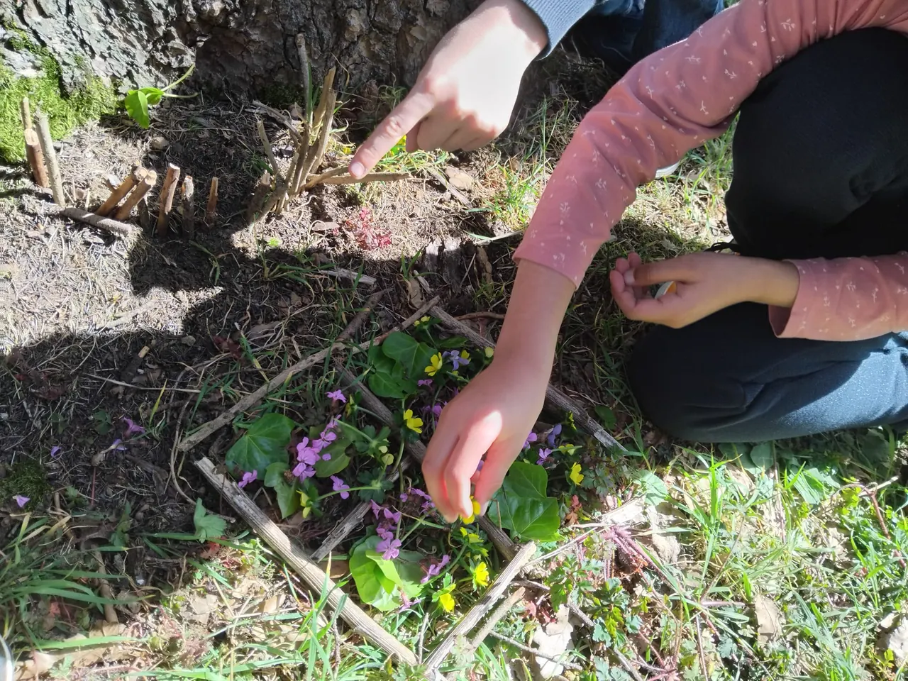 Enfants explorant la nature et cueillant des violettes au bois des Essarts avec l'école La Fourmi